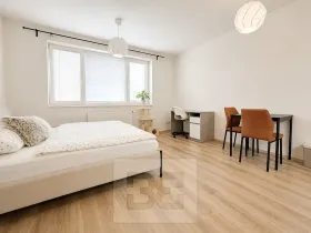 Pronájem bytu 1+kk, Brno, Vranovská, 26 m2