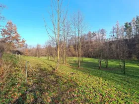 Prodej louky, Vilémov, 7357 m2