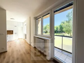 Pronájem bytu 2+kk, Plzeň, Pod Švabinami, 60 m2