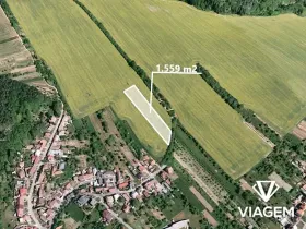 Prodej pole, Březolupy, 1559 m2