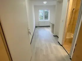 Pronájem bytu 1+kk, Praha - Hlubočepy, Na Zlíchově, 18 m2
