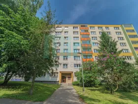 Pronájem bytu 1+1, Ostrava, Šeříková, 39 m2