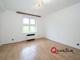 Pronájem bytu 1+1, Praha - Braník, Branická, 47 m2