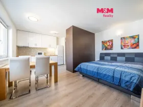 Pronájem bytu 1+kk, Plzeň - Jižní Předměstí, Presslova, 36 m2