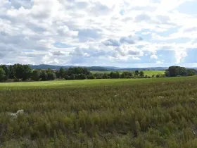 Prodej pozemku pro bydlení, Benešov, 1348 m2