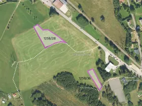 Prodej komerčního pozemku, Borová, 4941 m2