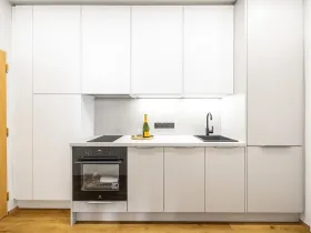 Prodej bytu 1+1, Praha - Nusle, Dačického, 31 m2