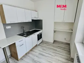 Pronájem bytu 1+1, Děčín - Děčín II-Nové Město, Kamenická, 36 m2