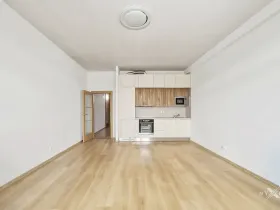 Prodej bytu 2+kk, Praha - Libeň, Českomoravská, 57 m2