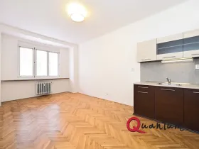 Pronájem bytu 1+kk, Praha - Žižkov, Baranova, 29 m2