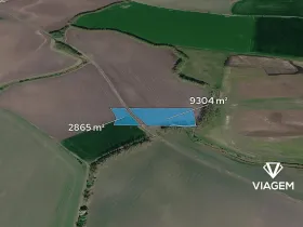 Prodej podílu pole, Běrunice, 1521 m2