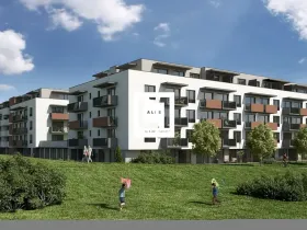 Pronájem bytu 1+kk, Olomouc, Aloise Rašína, 31 m2