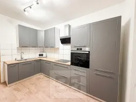 Pronájem bytu 2+1, Ostrov, S. K. Neumanna, 56 m2