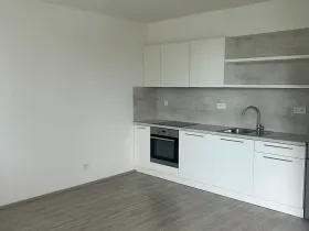 Pronájem bytu 2+kk, Olomouc, Wittgensteinova, 53 m2