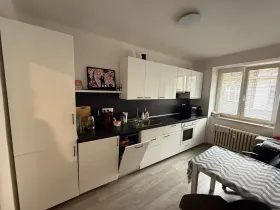 Pronájem bytu 1+1, Opava, Na Rybníčku, 38 m2