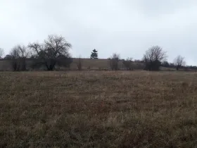 Prodej pole, Teplice nad Metují - Dolní Teplice, 25028 m2