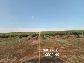 Prodej sadu/vinice, Terezín, 5465 m2