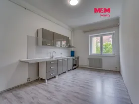 Pronájem bytu 2+1, Plzeň - Východní Předměstí, Jablonského, 61 m2