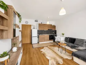 Pronájem bytu 1+kk, Praha - Čakovice, Bermanova, 42 m2