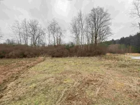 Dražba pozemku, Drahonice, 2121 m2