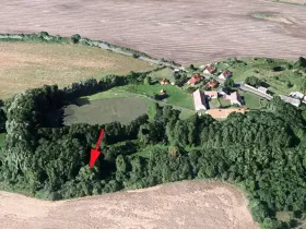Prodej sadu/vinice, Mašťov, 553 m2