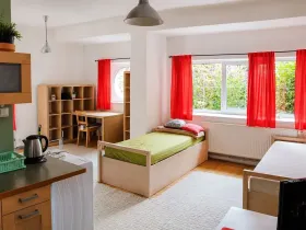 Pronájem bytu 1+kk, Brno, Kohoutova, 45 m2