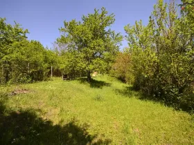 Prodej zahrady, Hostěrádky-Rešov, 705 m2