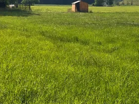 Prodej pozemku pro bydlení, Dobrá, 1044 m2