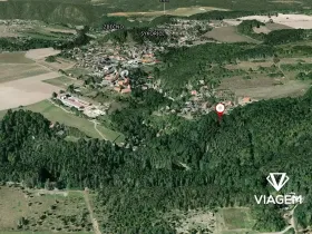 Prodej lesa, Sýkořice, 3269 m2