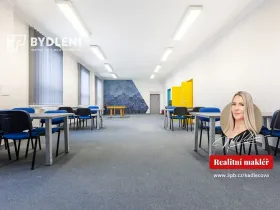 Pronájem kanceláře, Teplice, Modlanská, 153 m2