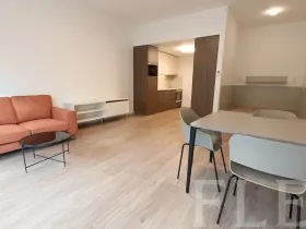 Pronájem bytu 1+kk, Praha - Žižkov, Hartigova, 48 m2
