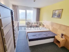 Prodej bytu 1+kk, Frymburk, 30 m2