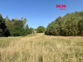 Prodej pozemku pro bydlení, Velemín, 5378 m2
