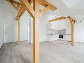 Pronájem bytu 3+kk, Praha - Nové Město, Václavské náměstí, 98 m2