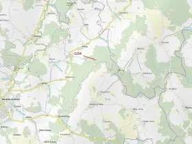 Dražba lesa, Vilice, 2384 m2