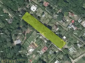 Prodej lesa, Prostějovičky, 1251 m2