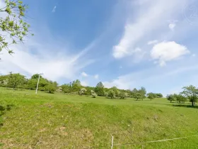 Prodej pozemku, Velká Bukovina, 3186 m2
