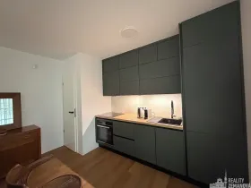 Pronájem bytu 2+kk, Praha - Vinohrady, Korunní, 56 m2