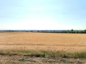 Prodej pole, Olomouc, 29414 m2