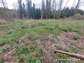 Prodej lesa, Lukavec, 1183 m2
