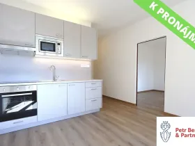 Pronájem bytu 2+kk, Plzeň, Karla Steinera, 36 m2