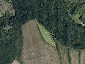 Prodej sadu/vinice, Kobylí, 6109 m2