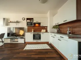 Prodej bytu 2+kk, Brno, Řípská, 52 m2