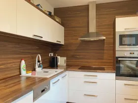 Pronájem bytu 2+1, Ostrava, Čkalovova, 54 m2