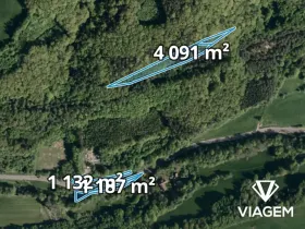 Prodej lesa, Bratřejov, 4108 m2