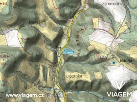 Prodej lesa, Letovice, 5139 m2