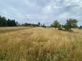 Dražba louky, Český Rudolec, 3408 m2