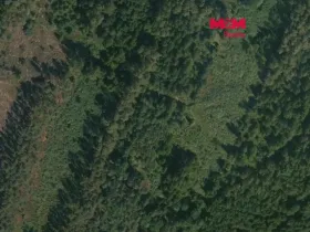 Prodej lesa, Libín - Slavošovice, 32765 m2