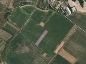 Prodej pole, Znojmo, 5390 m2