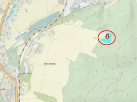 Prodej podílu lesa, Červená Voda, 5759 m2